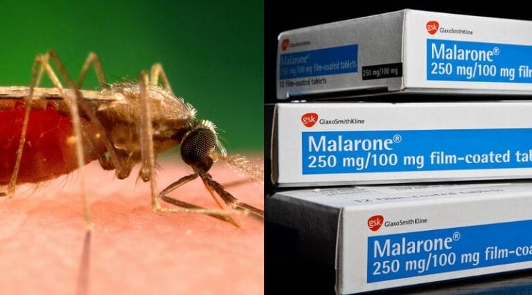 Opakowania Malarone.