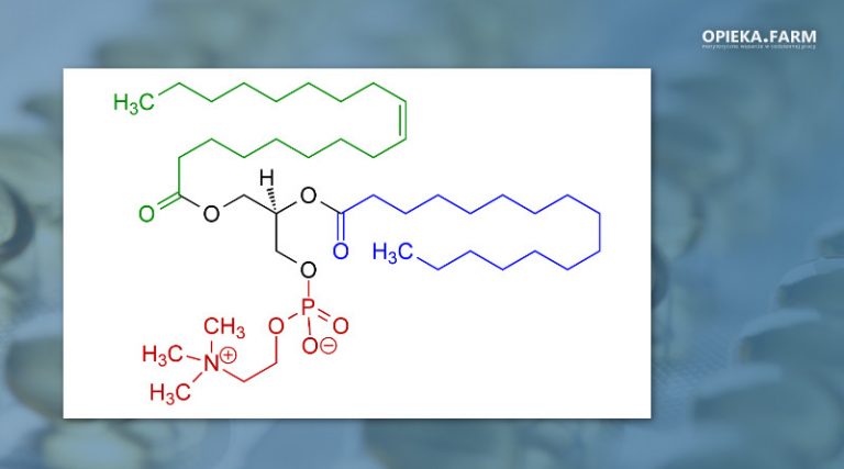 Fosfolipid sojowy